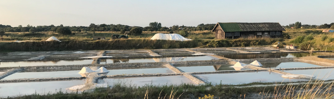 visite-les-salines
